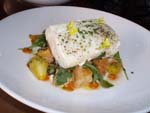 Halibut