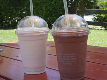 Chocolate and Vanilla Bean Shakes