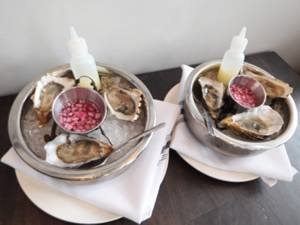 Oysters