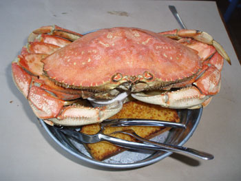 Steamed Whole Dungeness Crab