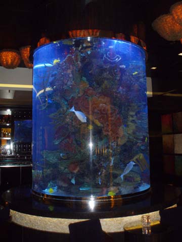 Aquarium